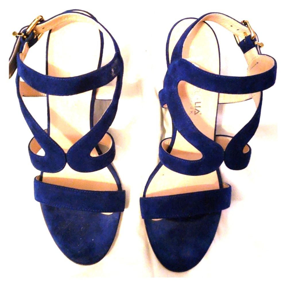 Blue Wedge Sandals